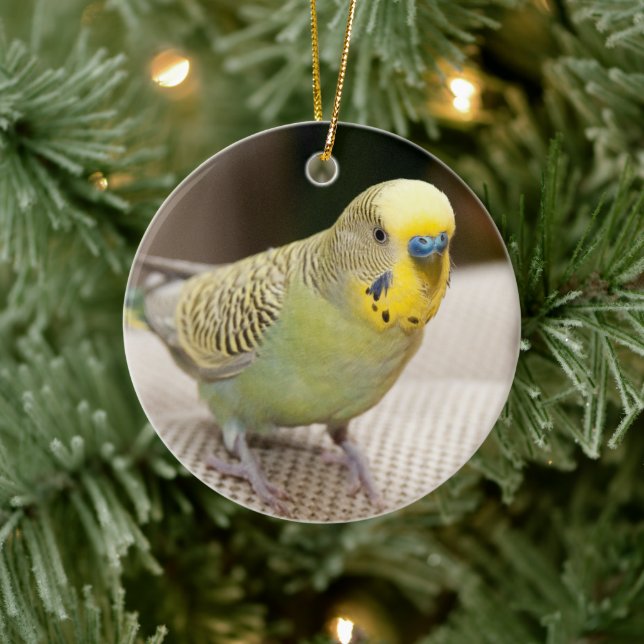 Décoration En Céramique Perruche jaune et verte mâle (Arbre)
