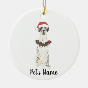 Décoration En Céramique Personalized Great Dane (Harlequin)