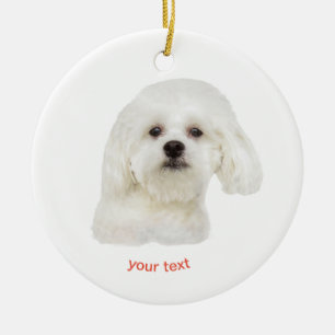 Décoration En Céramique Personnaliser le chiot maltais blanc