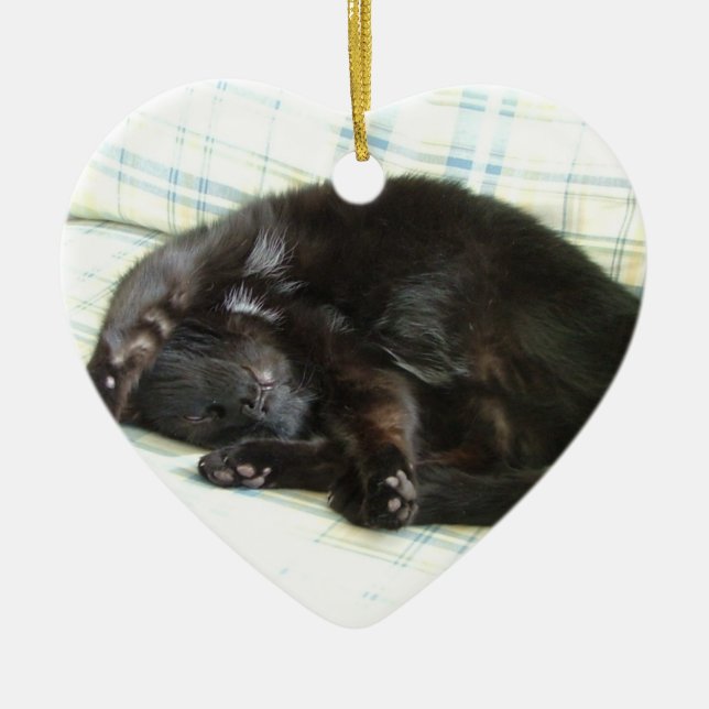 Décoration En Céramique petit somme de chat (Devant)