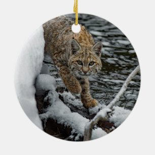 Décoration En Céramique Photo Bobcat Eau de neige