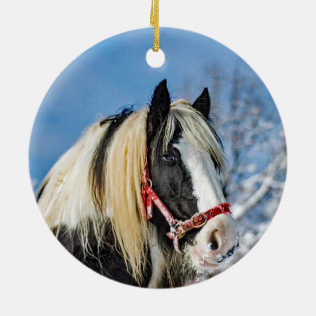 Décoration En Céramique Photo Cheval Paint Snow (Dos)
