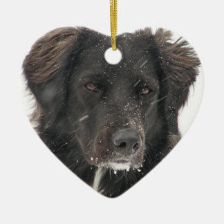 Décoration En Céramique Photo d'animal de compagnie de chien du Labrador n