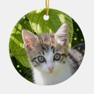 Décoration En Céramique Photo de chaton tabby personnalisé