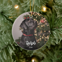 Photo de chien avec texte de nom superposé