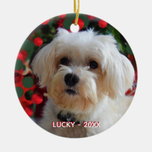 Décoration En Céramique Photo de chien maltais personnalisée