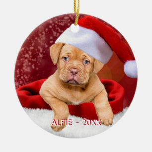 Décoration En Céramique Photo de chiot Pitbull personnalisé