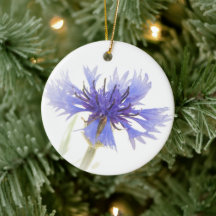 Photo de Cornflower bleu -