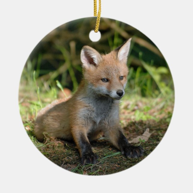 Décoration En Céramique Photo de la faune Fox (Devant)