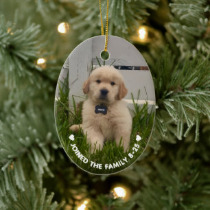 Décoration En Céramique Photo de mon chien Noël
