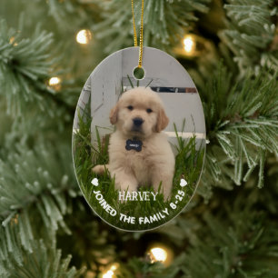 Décoration En Céramique Photo de mon chien Noël