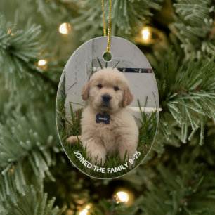Décoration En Céramique Photo de mon chien Noël