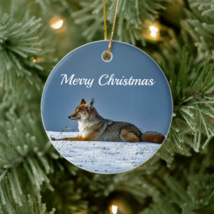 Décoration En Céramique Photo de neige Coyote
