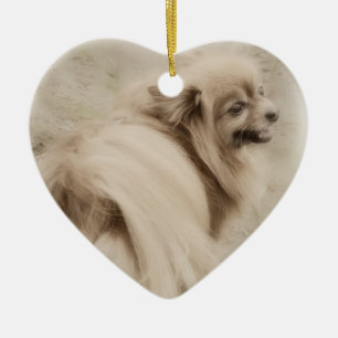 Décoration En Céramique Photo de Pomeranian - Pom rêveur