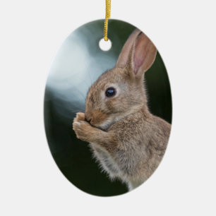 Décoration En Céramique Photo nature du lapin mignon