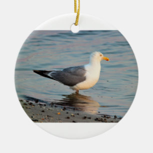 Décoration En Céramique Photo Seagull