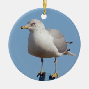 Décoration En Céramique Photo Seagull