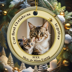 Décoration En Céramique Photo Vert Or Premier Noël Ensemble Chat 