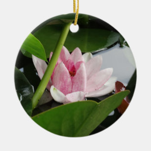 Décoration En Céramique Photographie rose blanc lotus