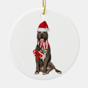 Décoration En Céramique PITBULL avec Casquette Scafe Noël