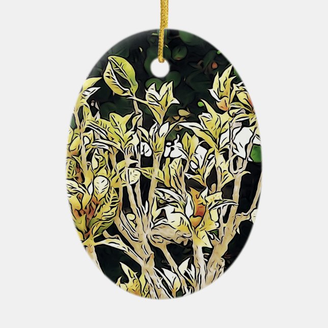 Décoration En Céramique Plante de Cuba (Devant)