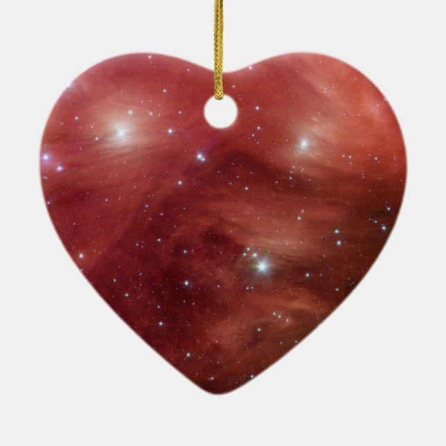 Décoration En Céramique Pléiades roses Infrarouge SSC2007 07b (Dos)