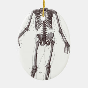 Décoration En Céramique Plein squelette