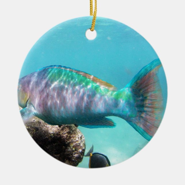 Décoration En Céramique Poissons de perroquet d'Hawaï (Devant)