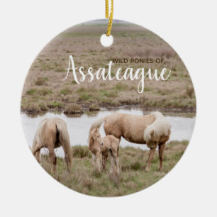 Décoration En Céramique Poneys sauvages d'ornement d'Assateague