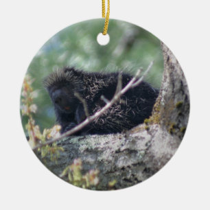 Décoration En Céramique Porcupine dans l'ornement animal de l'arbre