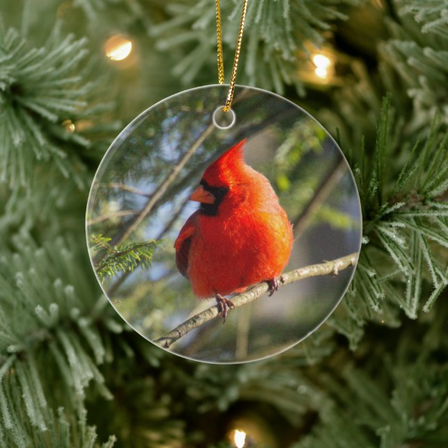 Décoration En Céramique Portrait cardinal classique (Arbre)