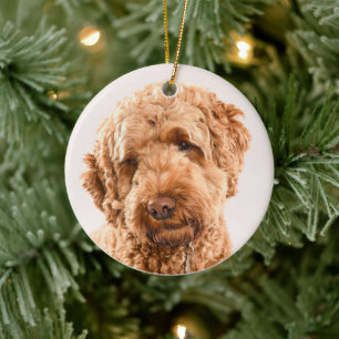 Décoration En Céramique Portrait de Goldendoodle Studio