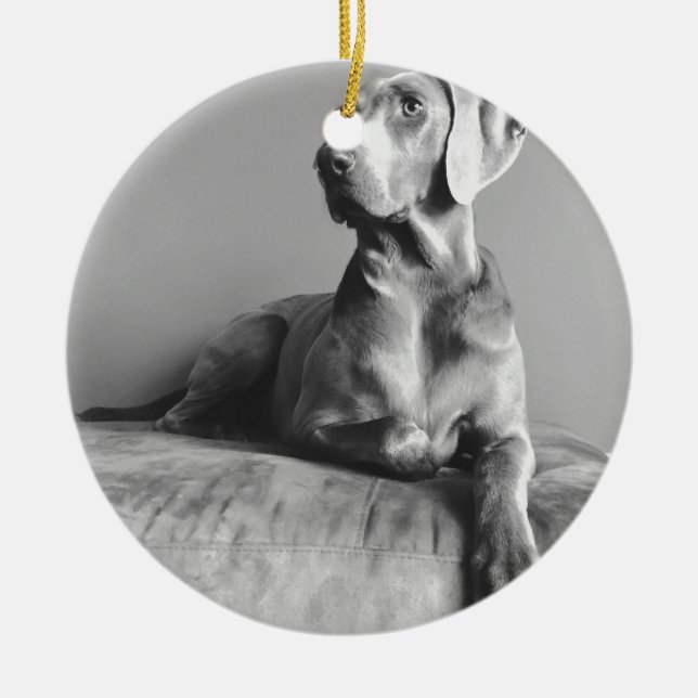 Décoration En Céramique Portrait de Weimaraner (Devant)