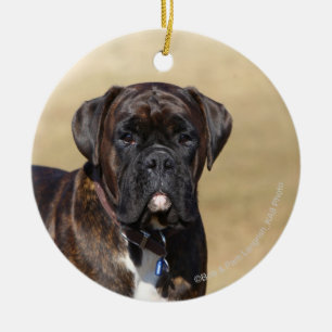Décoration En Céramique Position Brindle de chien de boxeur