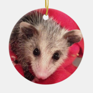 Décoration En Céramique Possum Bébé Polly Cute