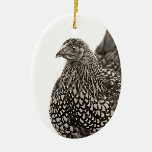 Décoration En Céramique Poulet de Wyandotte doré (Devant)