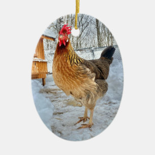 Décoration En Céramique Poulet dignifié