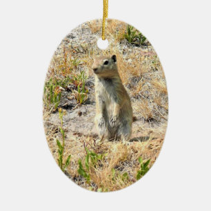 Décoration En Céramique Prairie Dog in Yosemite