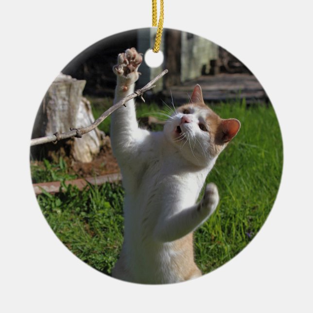 Décoration En Céramique Prédateur féroce (Devant)