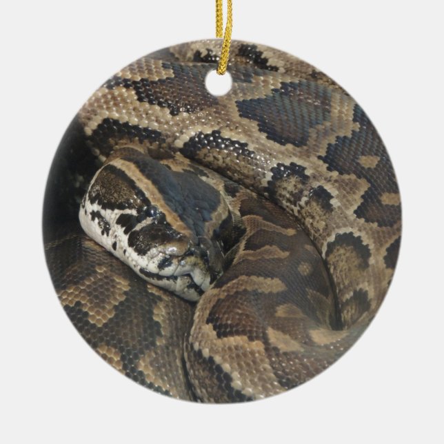 Décoration En Céramique Python birman (Devant)