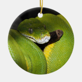Décoration En Céramique Python vert d'arbre