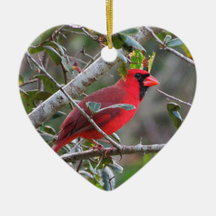 Décoration En Céramique Quand un cardinal apparaît aimé du ciel est