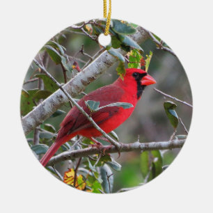 Décoration En Céramique Quand un Cardinal apparaît un Amoureux du Ciel est
