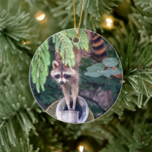 Décoration En Céramique Raccoon raid l'éleveur d'oiseaux