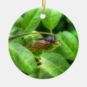 Décoration En Céramique Red Eyed Cicada