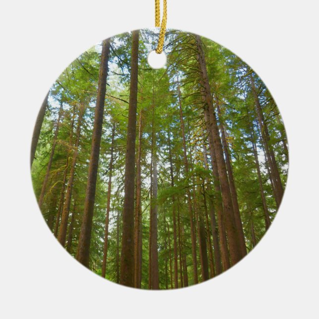 Décoration En Céramique Regard sur la forêt ancienne (Devant)