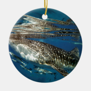 Décoration En Céramique requin baleine Oslob Philippines