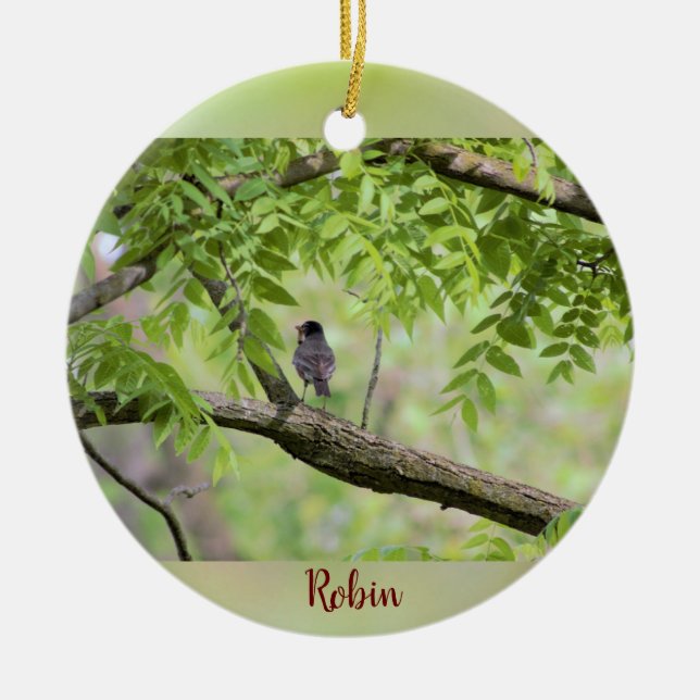 Décoration En Céramique Robin des oiseaux dans l'arbre (Devant)