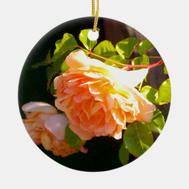 Décoration En Céramique Roses de pêche par pays (Devant)