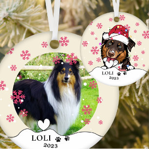 Décoration En Céramique Rough Collie Chien Personnalisé Dessin À La Main E